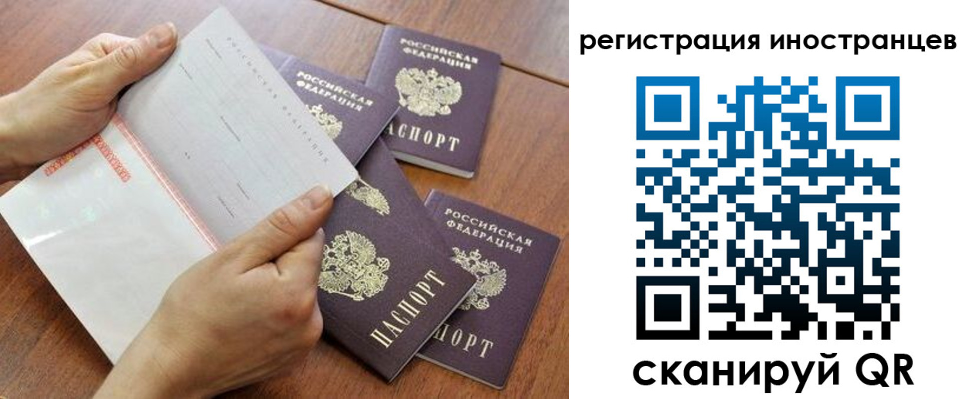 прописка поиск в Заволжье